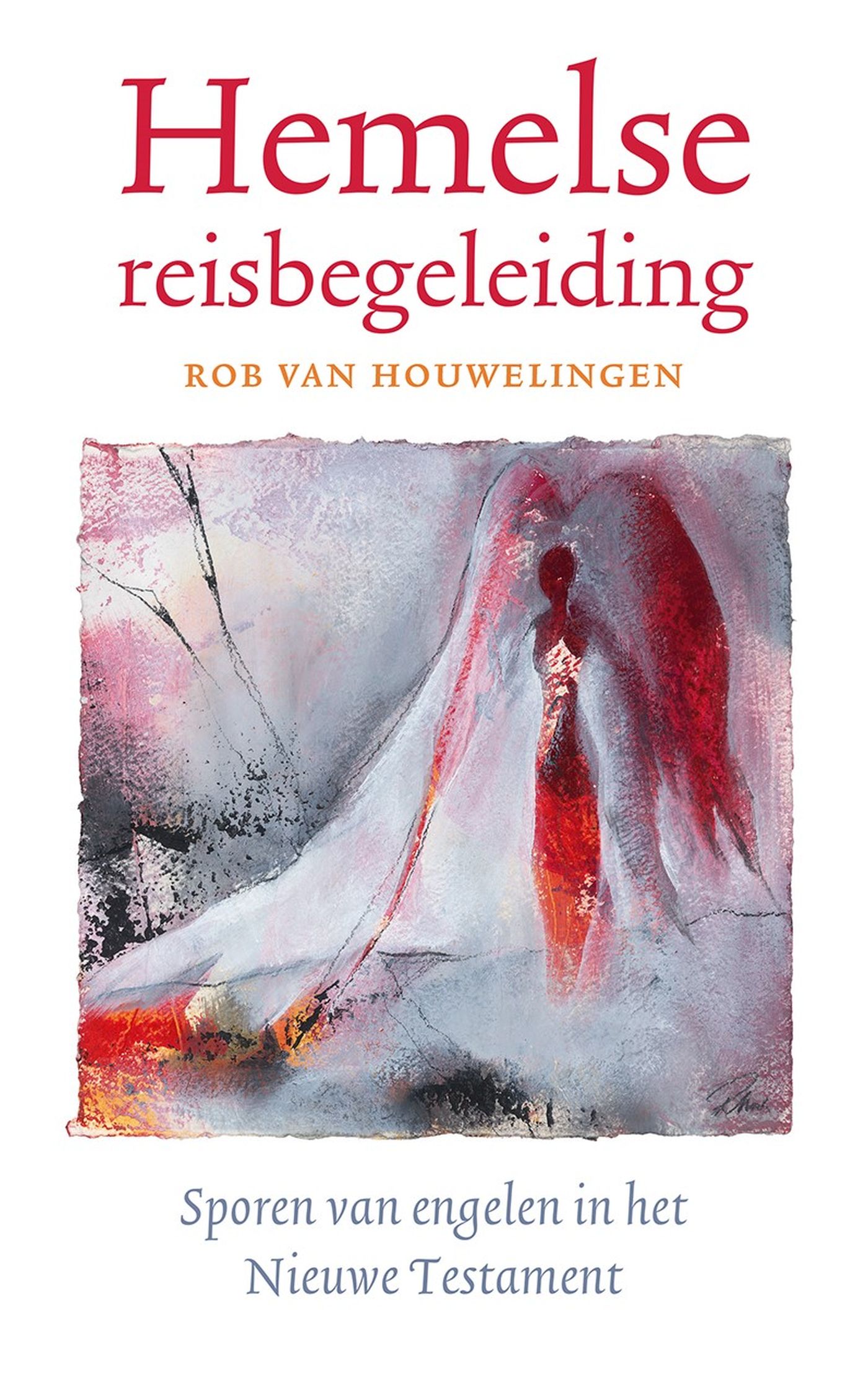 Omslag van Hemelse reisbegeleiding