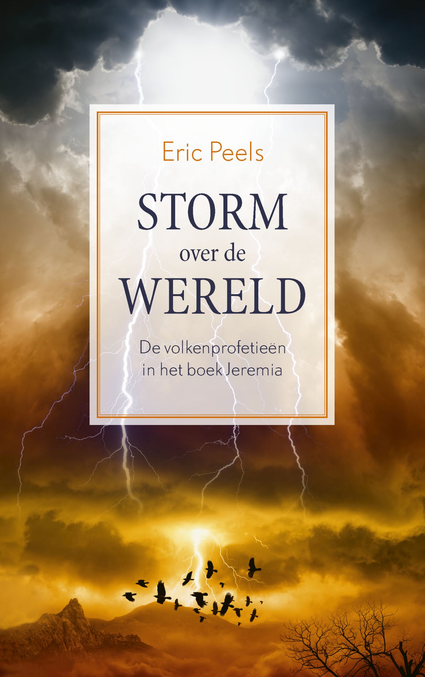 Omslag van Storm over de wereld