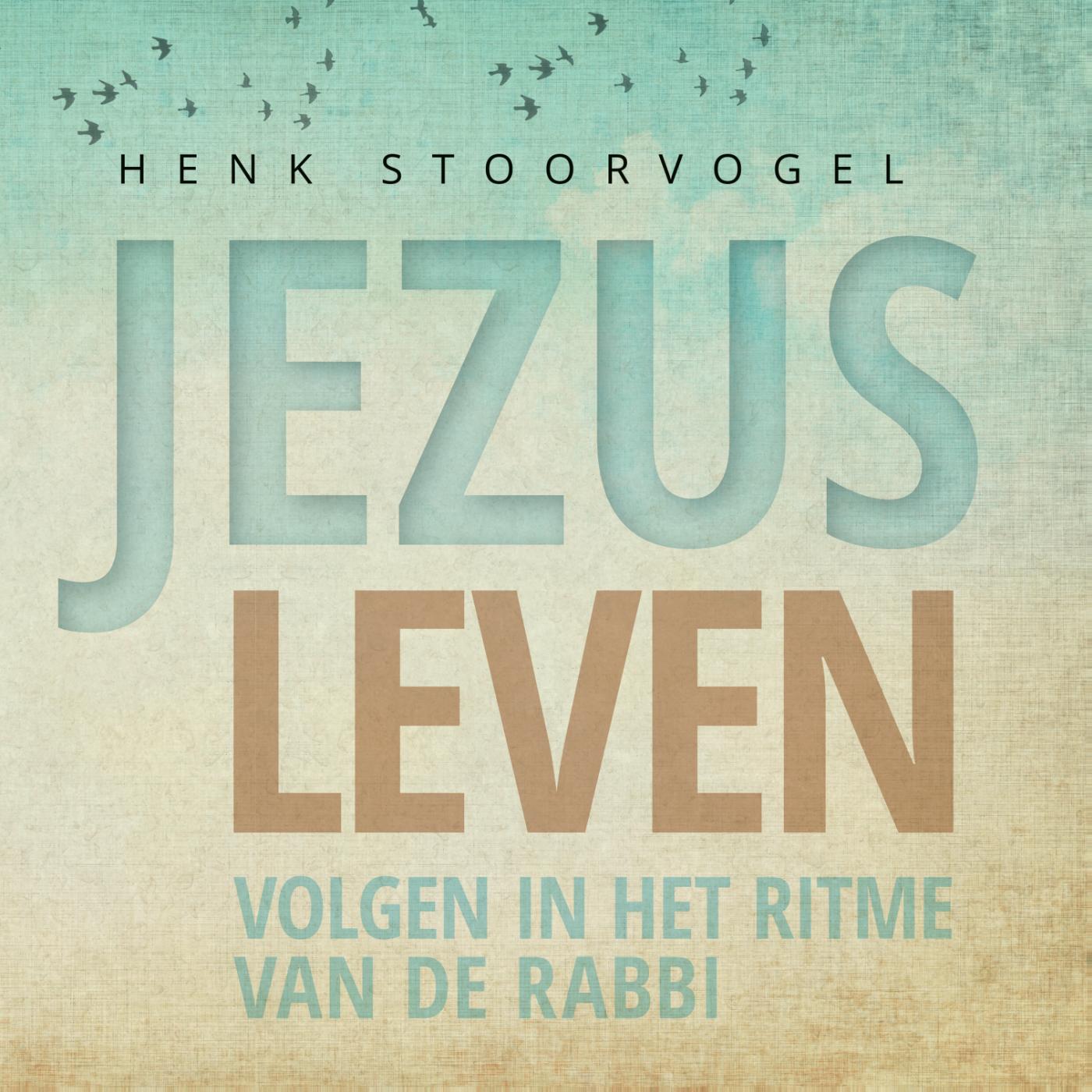 Omslag van Jezus leven