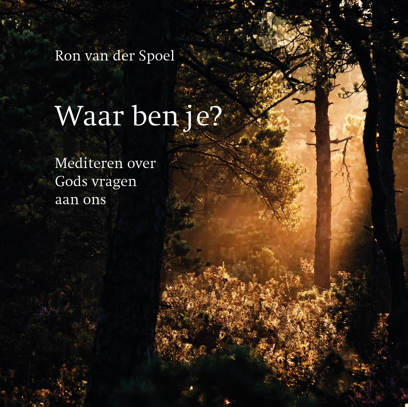 Omslag van Waar ben je?