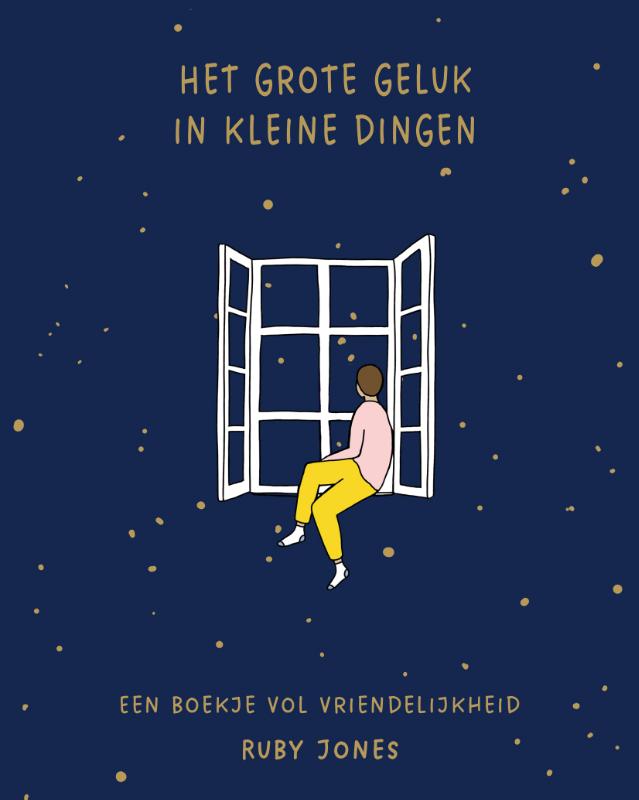 Omslag van Het grote geluk in kleine dingen