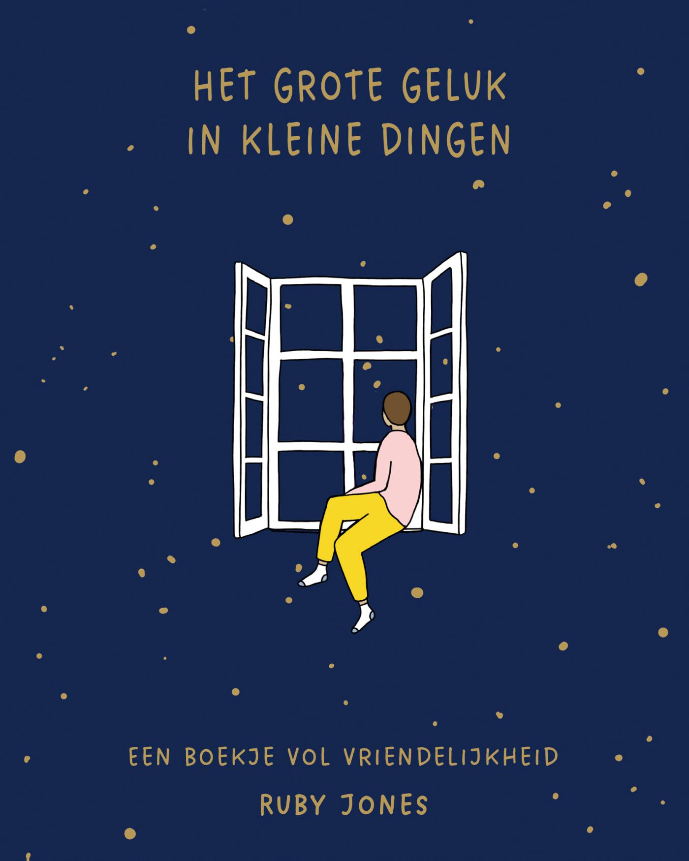 Omslag van Het grote geluk in kleine dingen