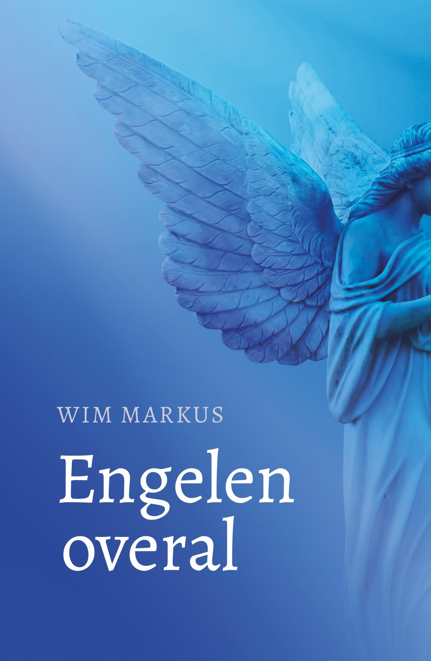 Omslag van Engelen overal