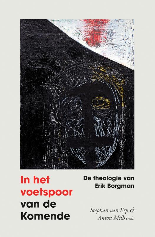 Omslag van In het voetspoor van de komende