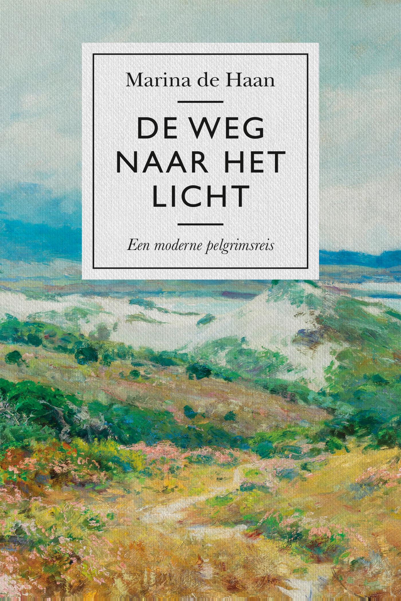 Omslag van De weg naar het licht