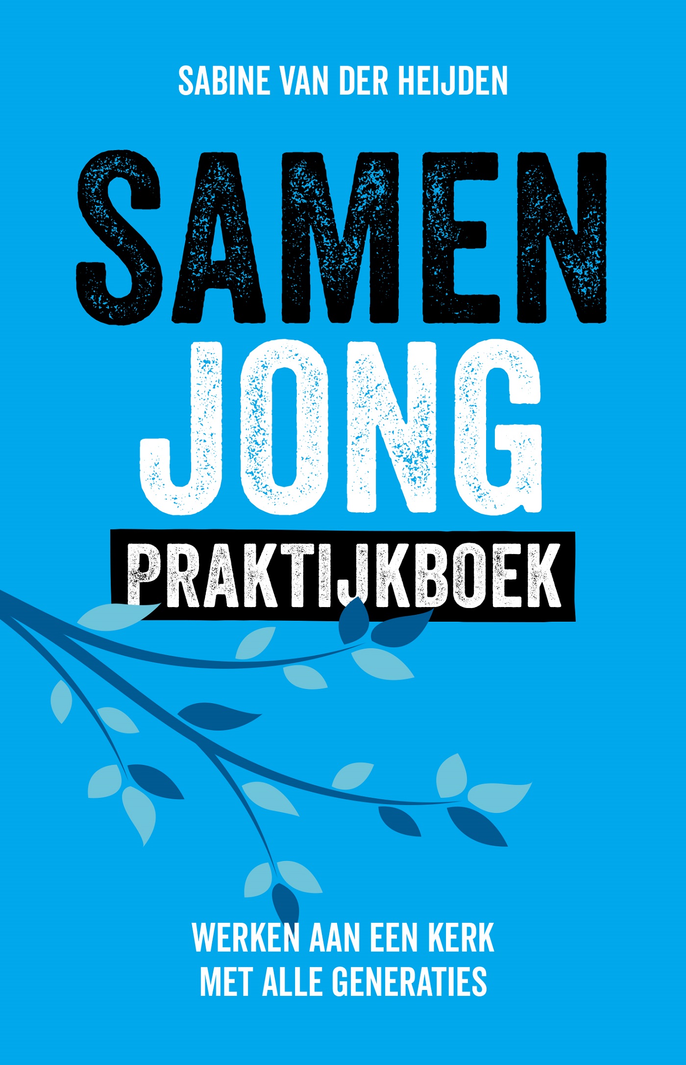 Omslag van Praktijkboek