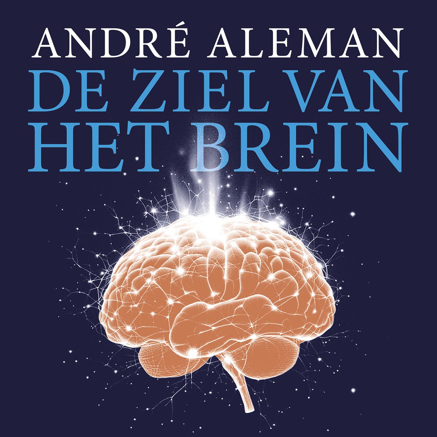 Omslag van De ziel van het brein