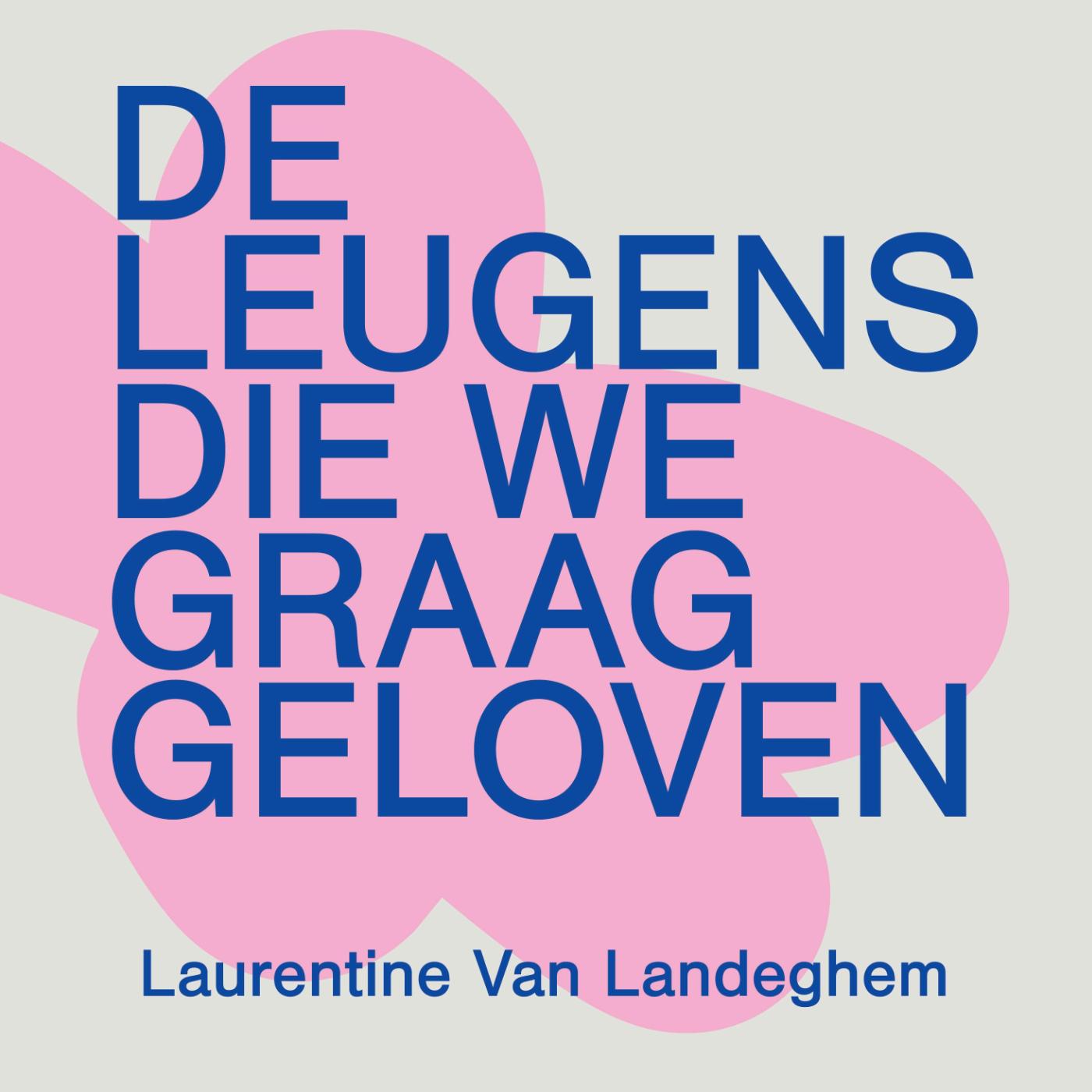 Omslag van De leugens die we graag geloven