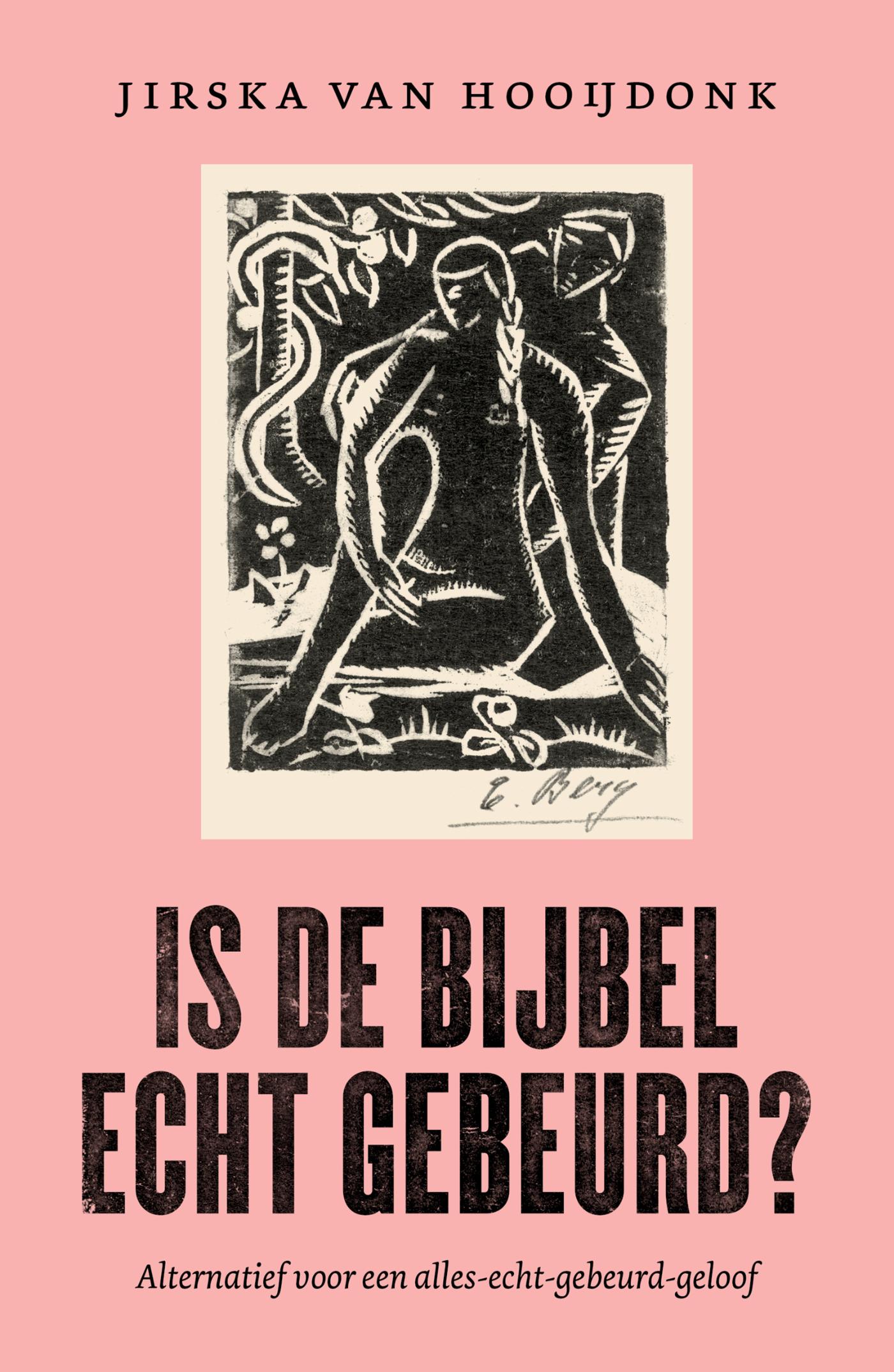 Omslag van Is de Bijbel echt gebeurd?
