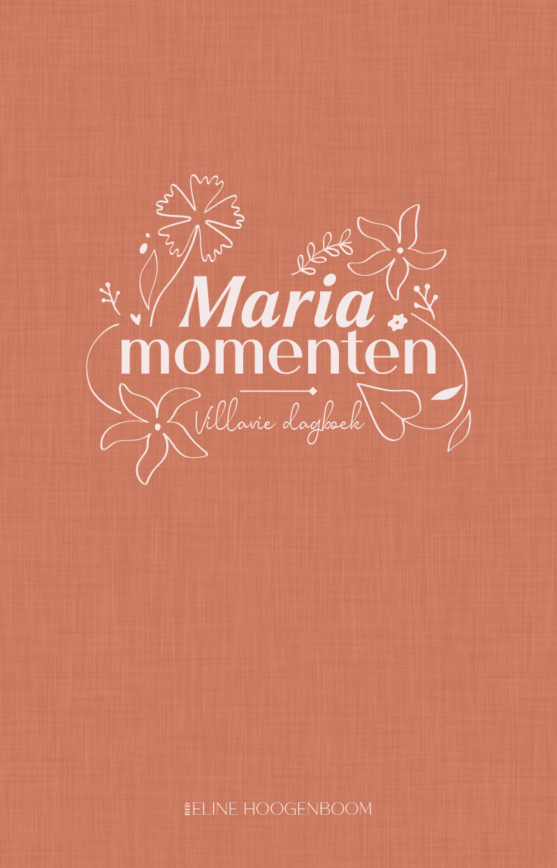 Omslag van Mariamomenten