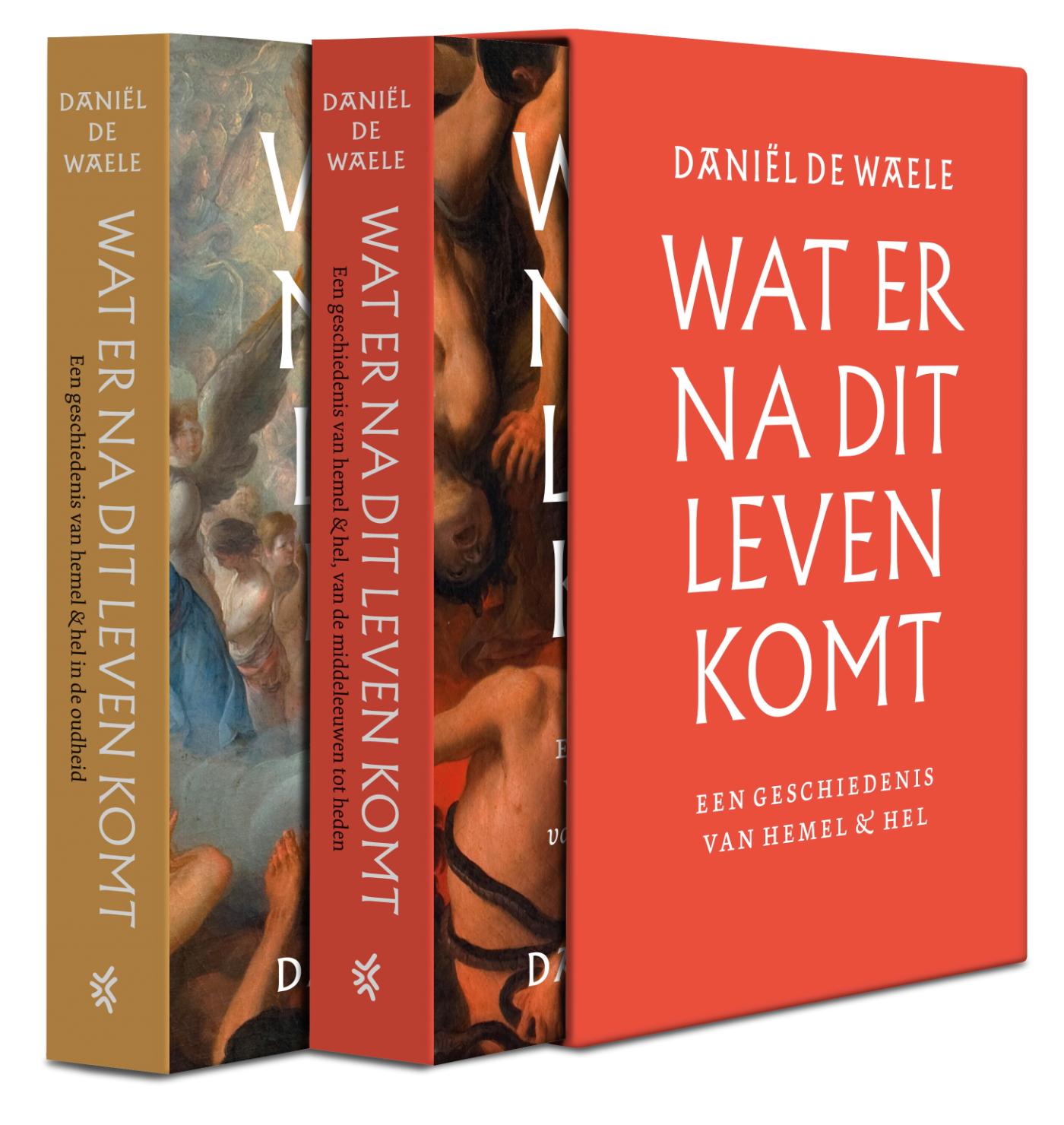 Omslag van Wat er na dit leven komt