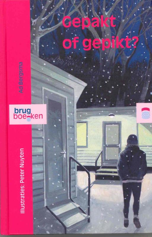 Omslag van Gepakt of gepikt?