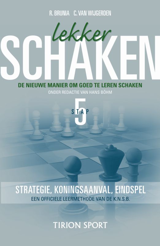 Omslag van Stap 5 strategie/koningsaanval/eindspel