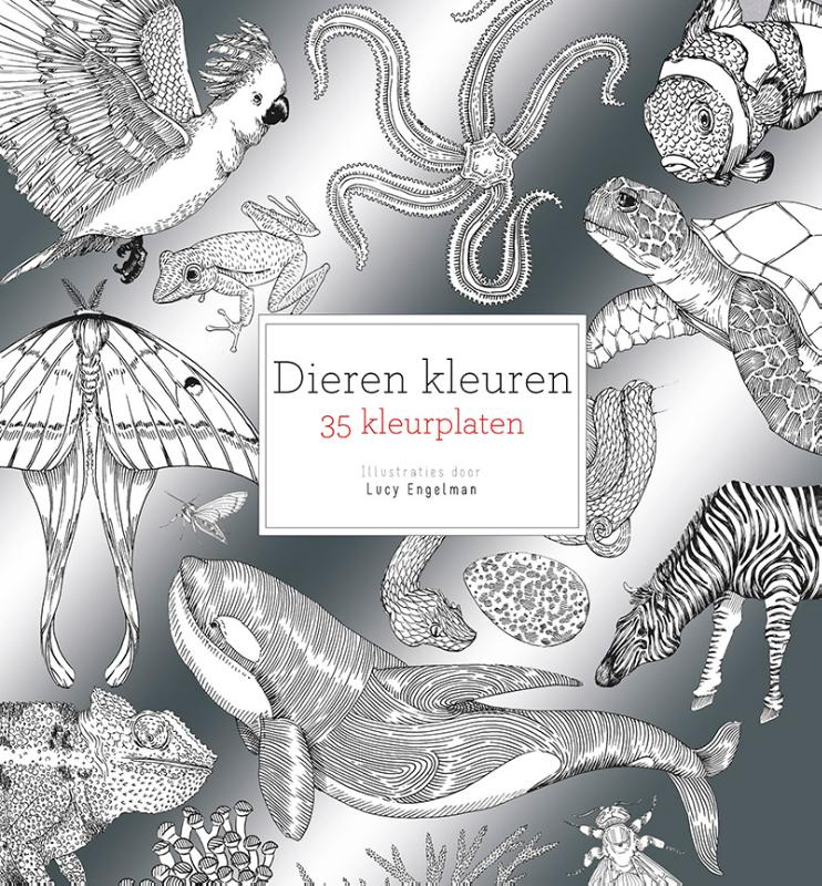 Omslag van Dieren kleuren