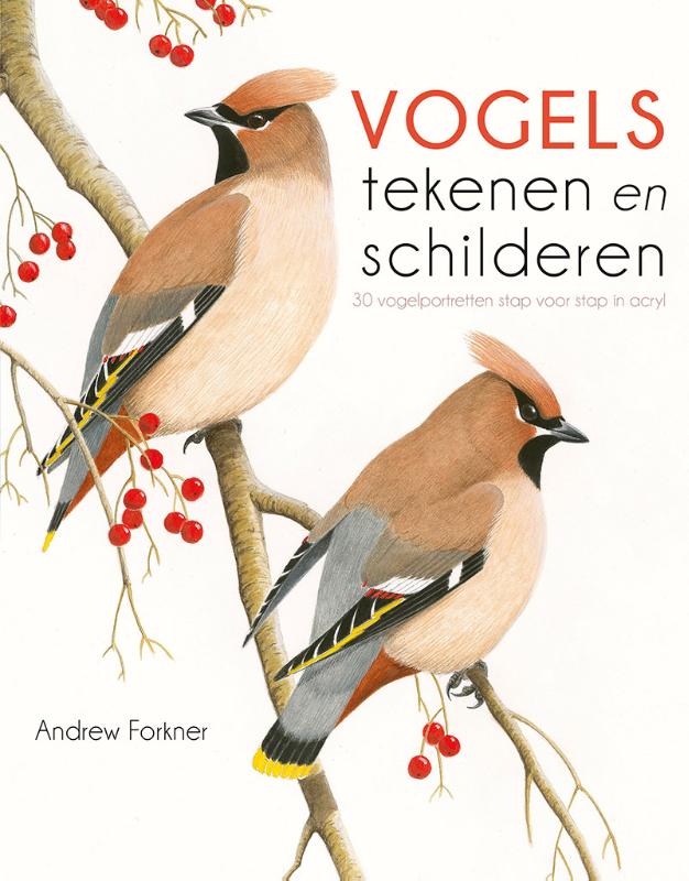 Omslag van Vogels tekenen en schilderen