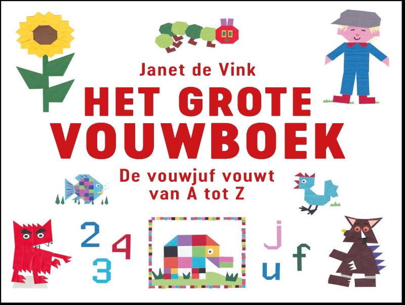 Omslag van Het grote vouwboek