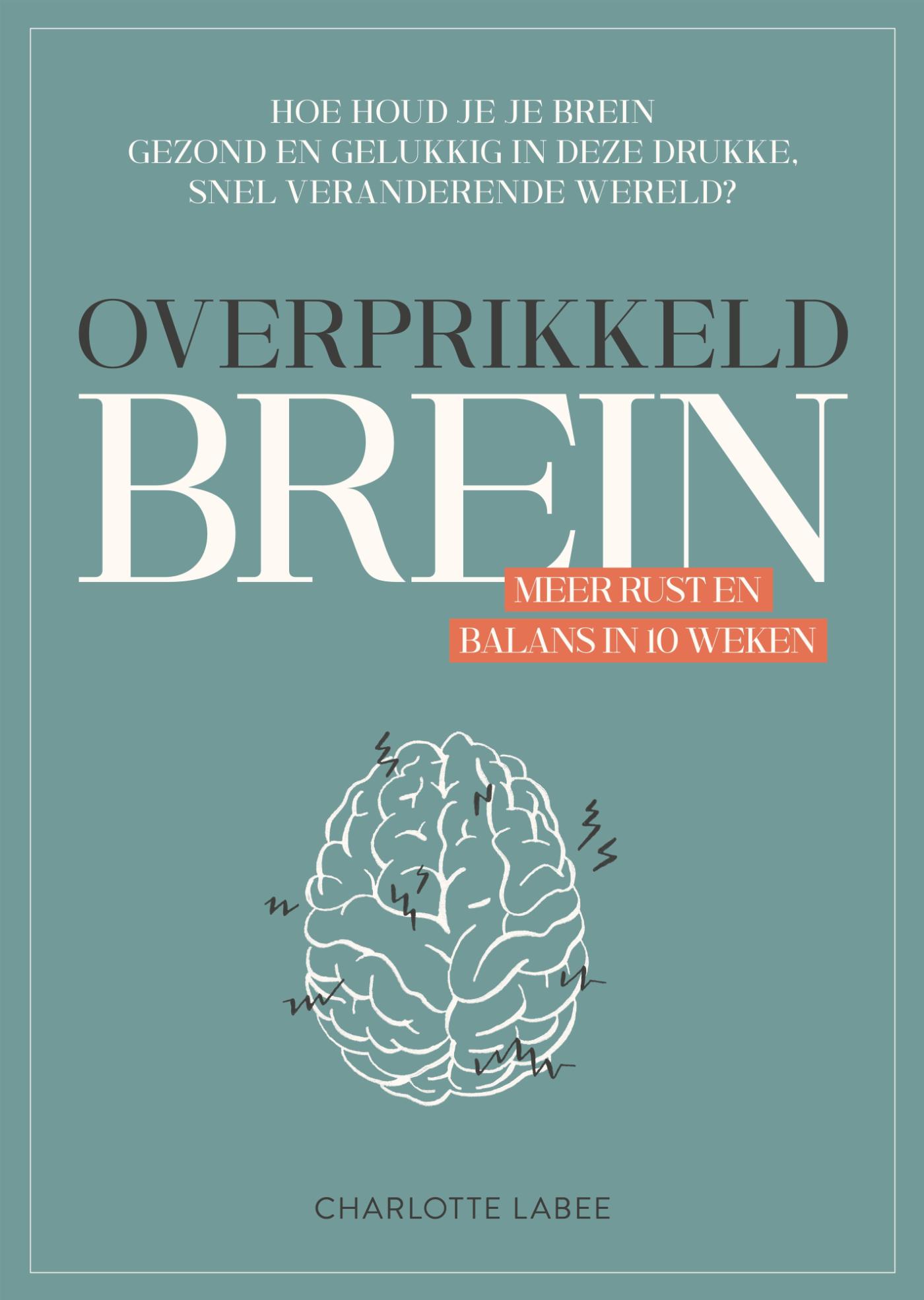 Omslag van Overprikkeld Brein