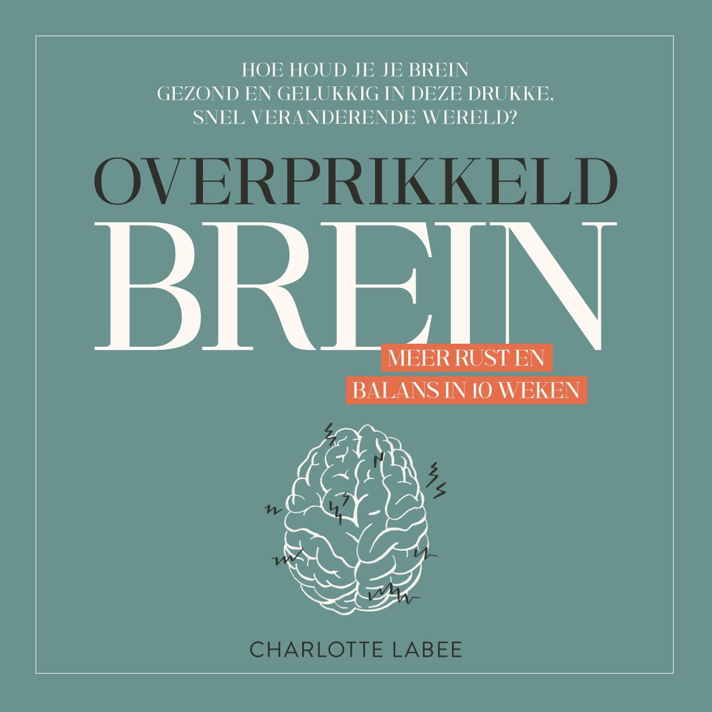 Omslag van Overprikkeld Brein