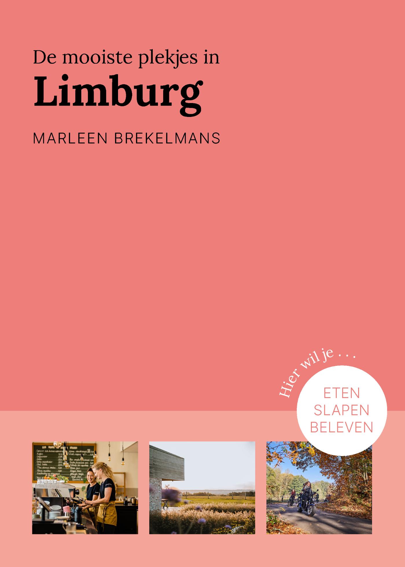 Omslag van De mooiste plekjes in Limburg