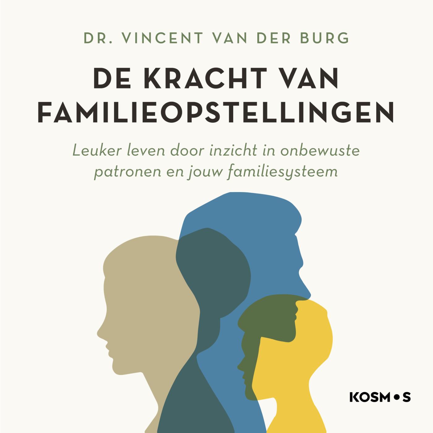 Omslag van De kracht van familieopstellingen