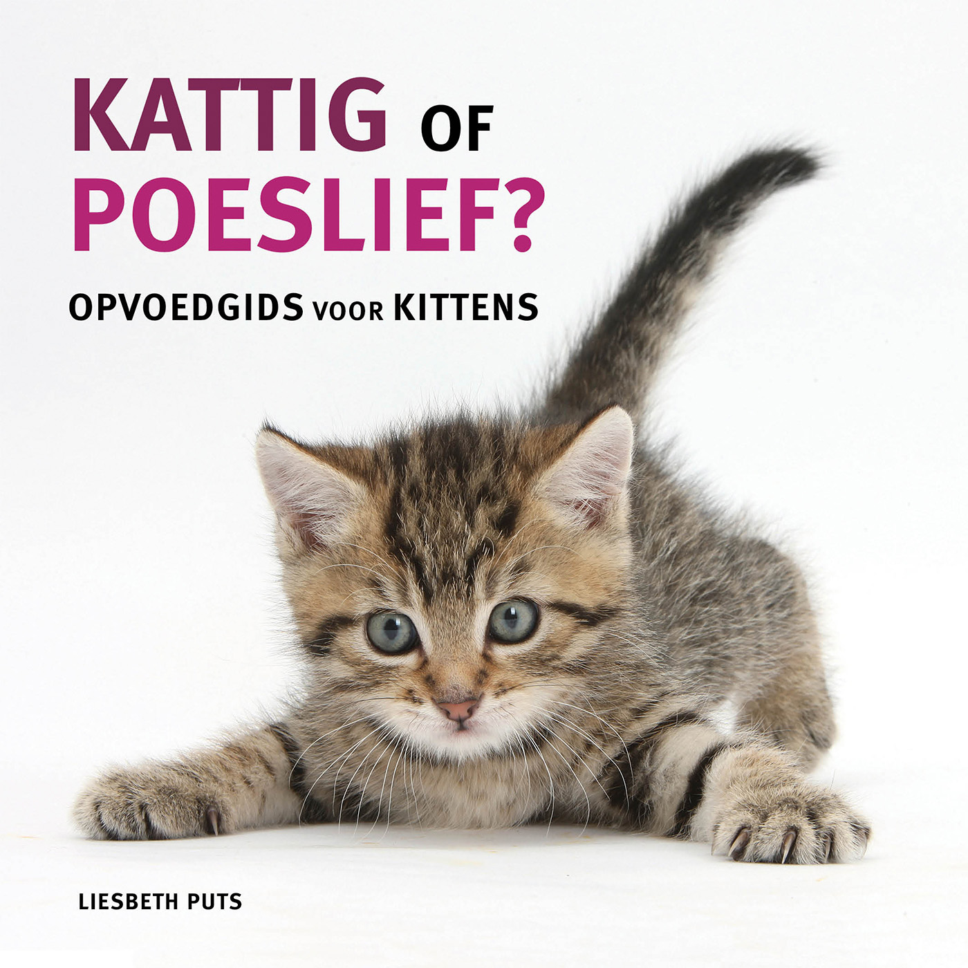 Omslag van Kattig of poeslief
