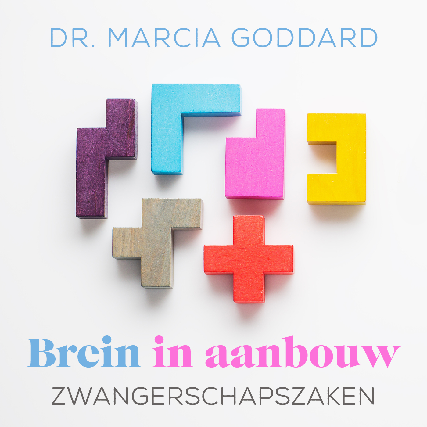 Omslag van Zwangerschapszaken