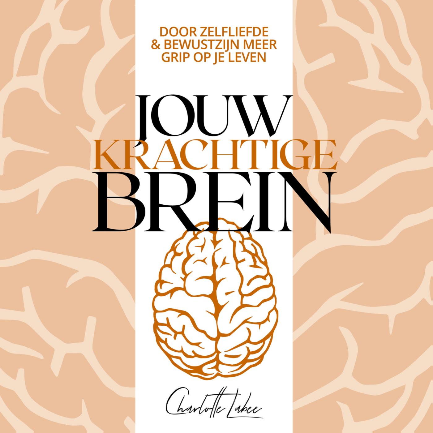 Omslag van Jouw krachtige brein