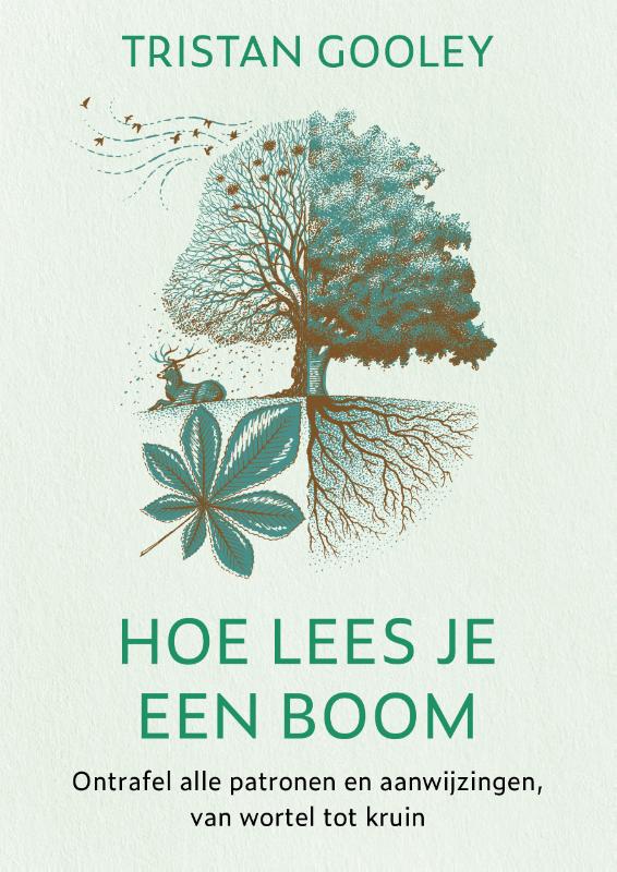 Omslag van Hoe lees je een boom