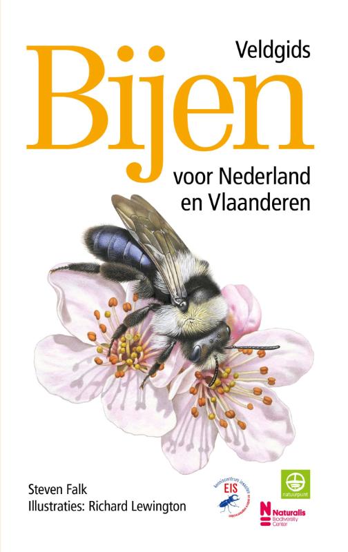 Omslag van Bijen - Veldgids voor Nederland en Vlaanderen