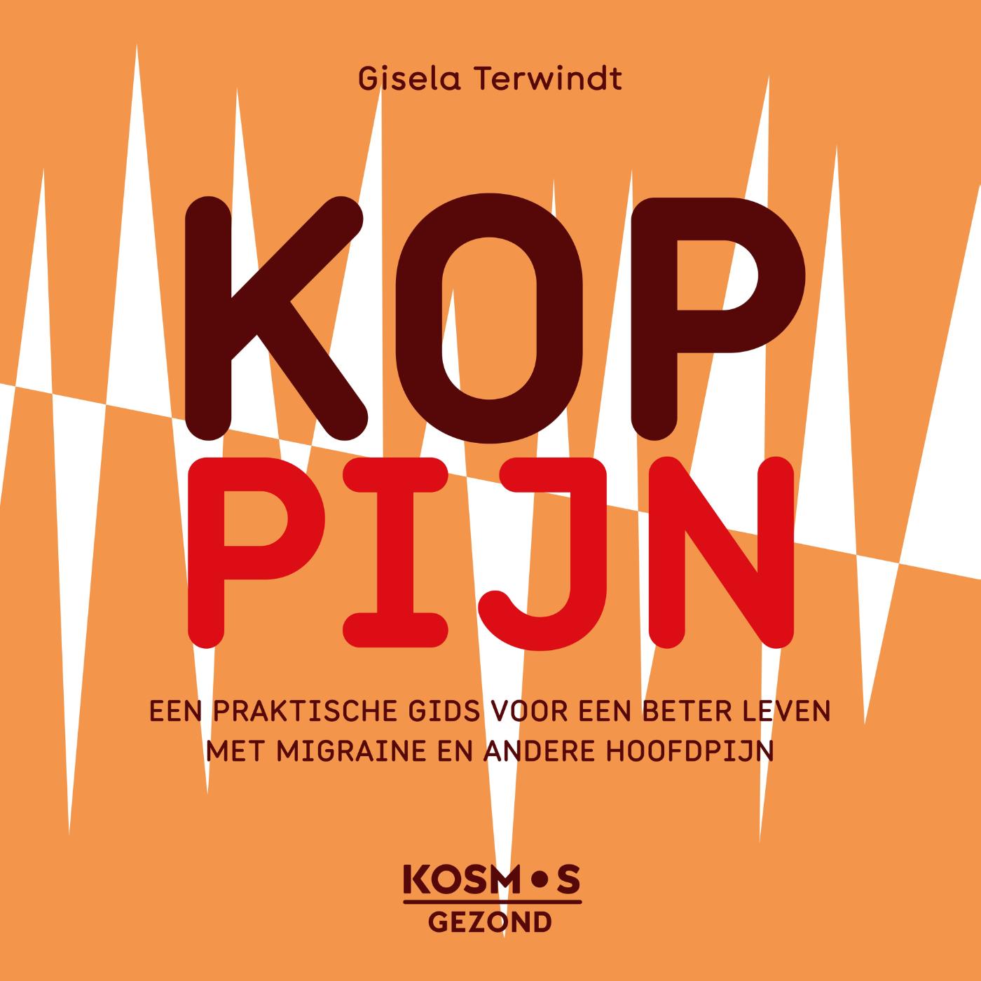 Omslag van Koppijn