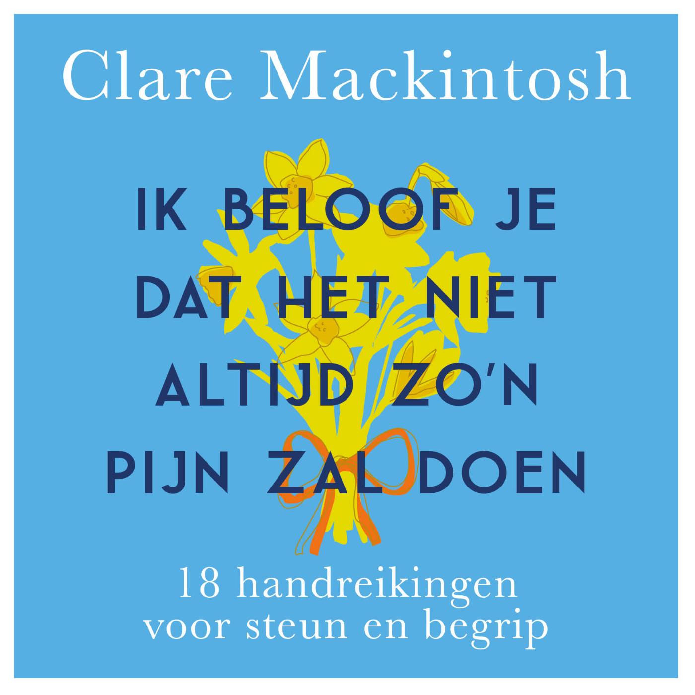 Omslag van Ik beloof je dat het niet altijd zo'n pijn zal doen