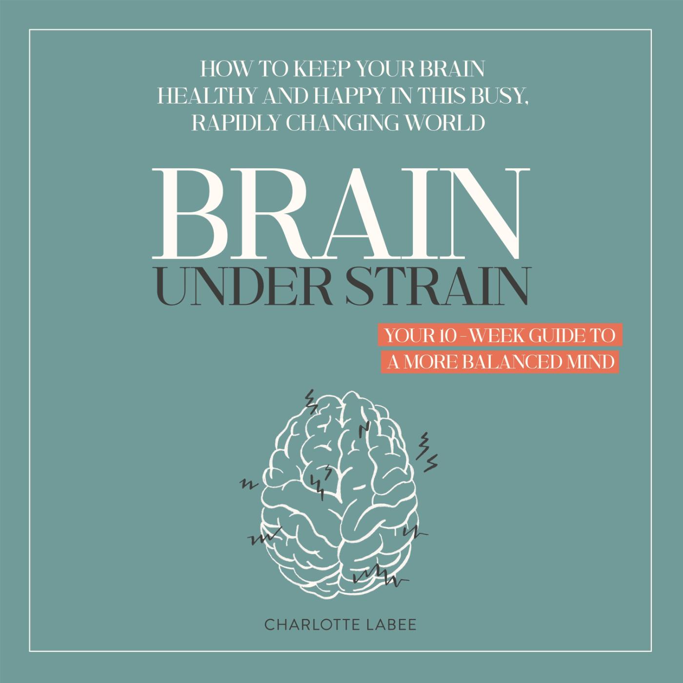 Omslag van Brain under Strain