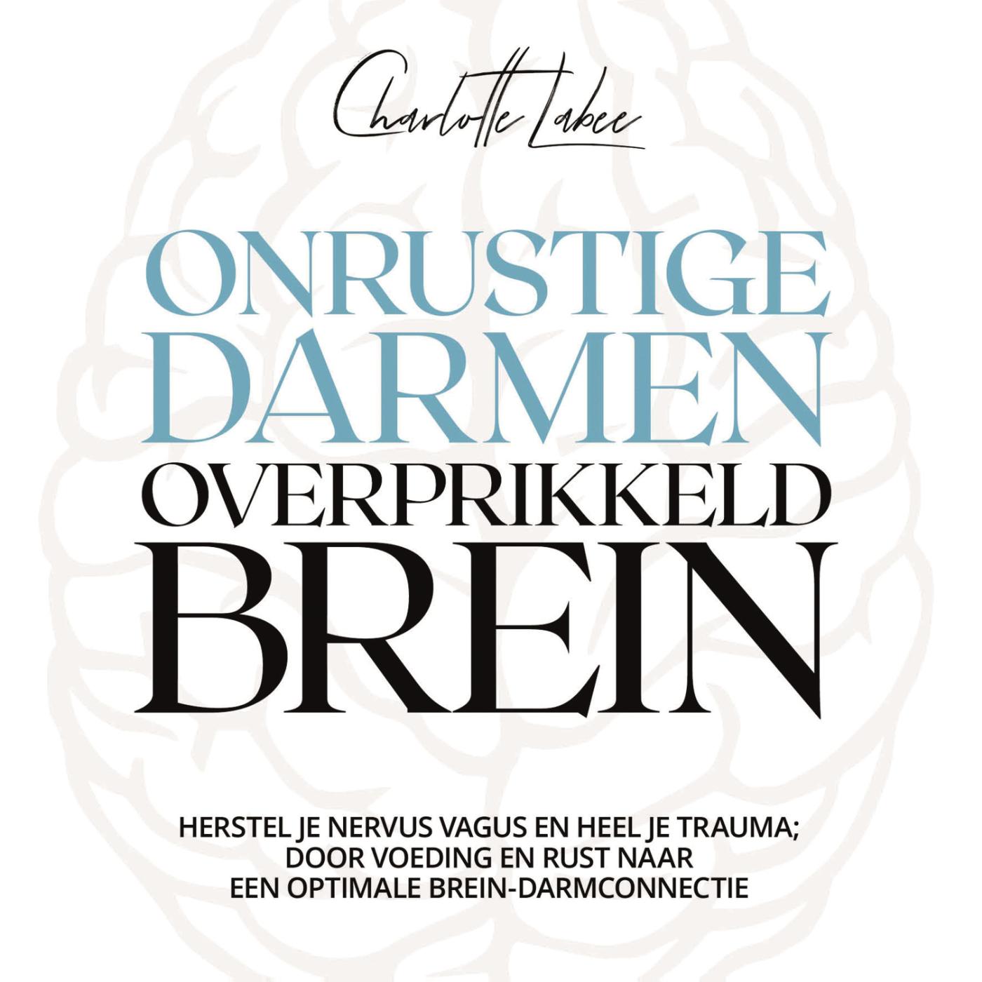 Omslag van Onrustige darmen, overprikkeld brein