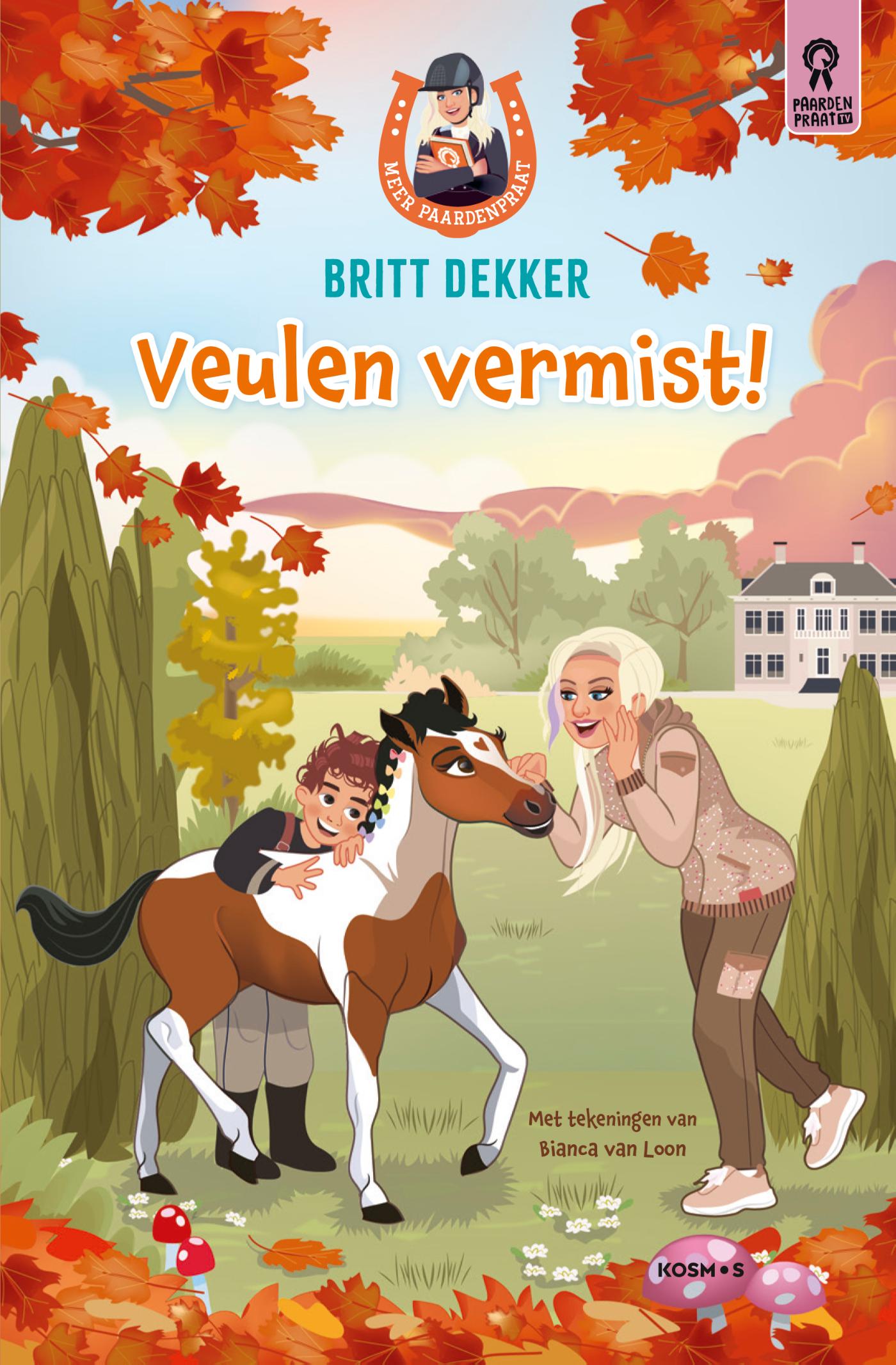 Omslag van Veulen vermist!