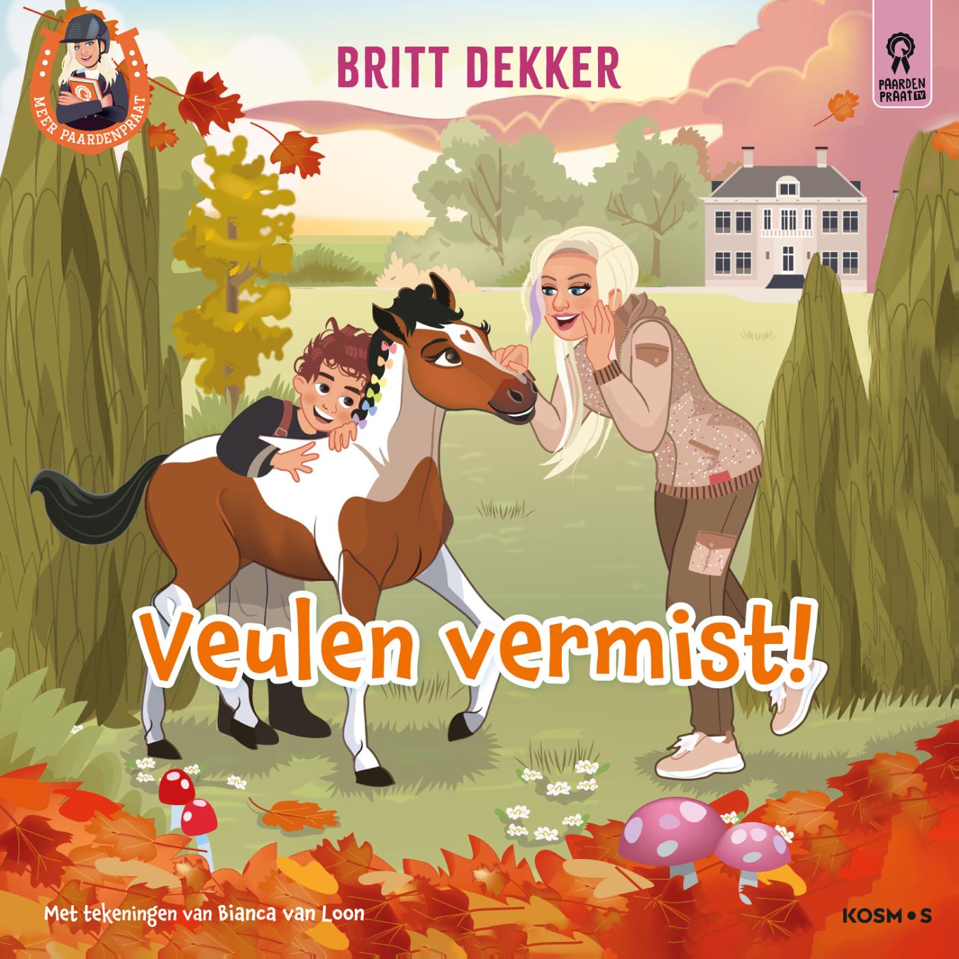 Omslag van Veulen vermist!
