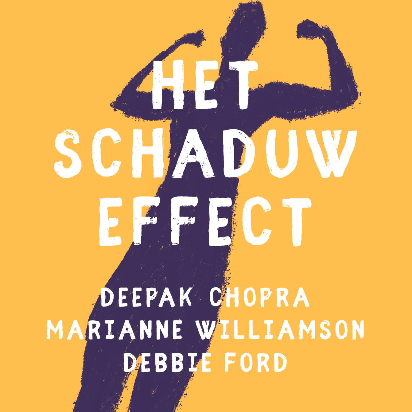 Omslag van Het schaduw effect