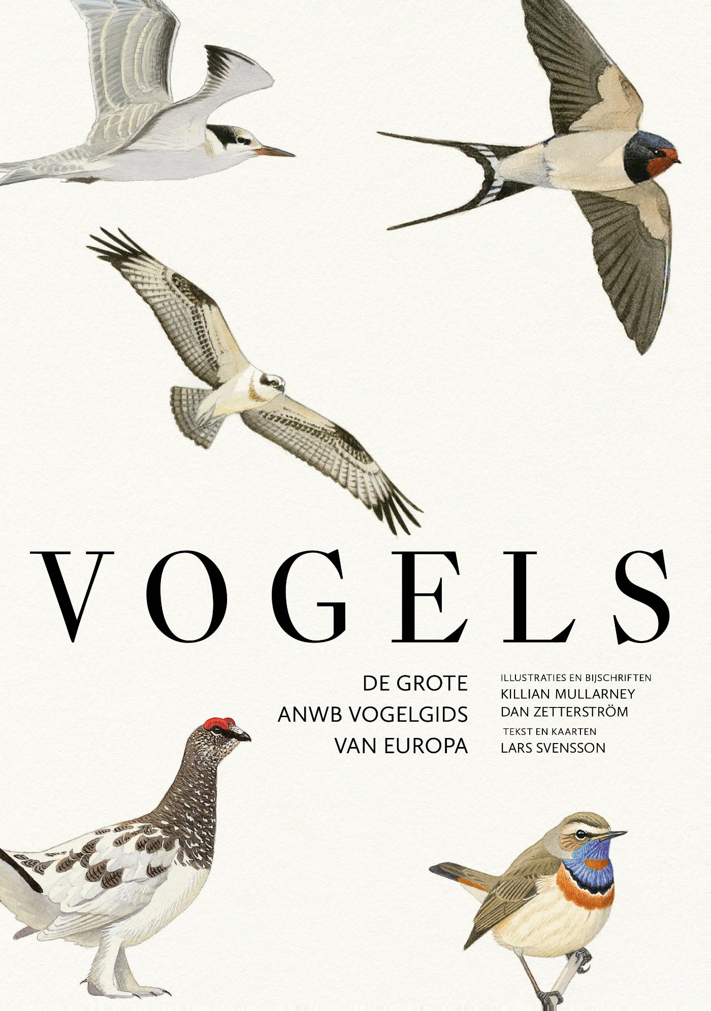 Omslag van Vogels