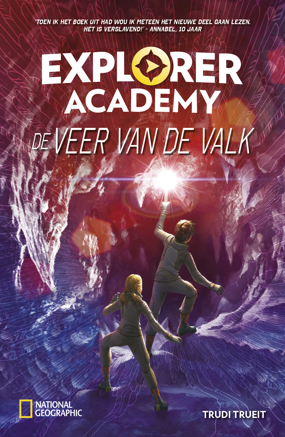 Omslag van De veer van de valk