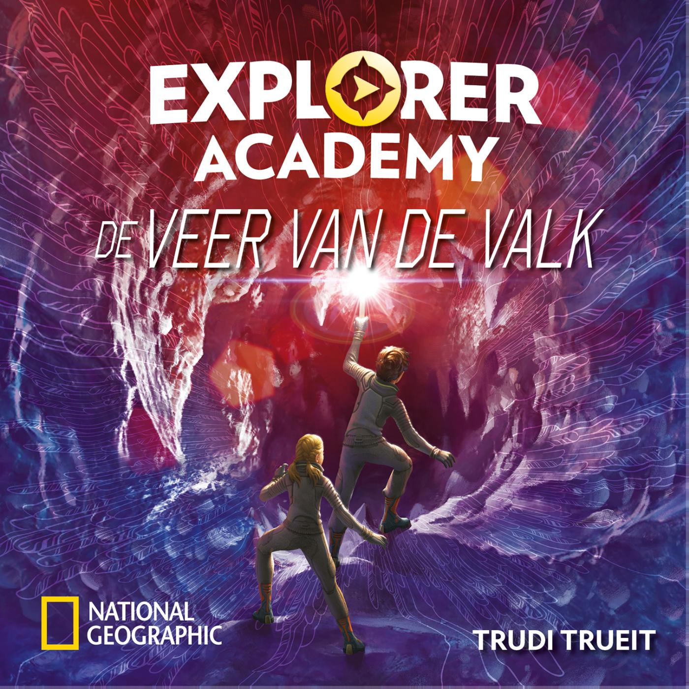 Omslag van De veer van de valk