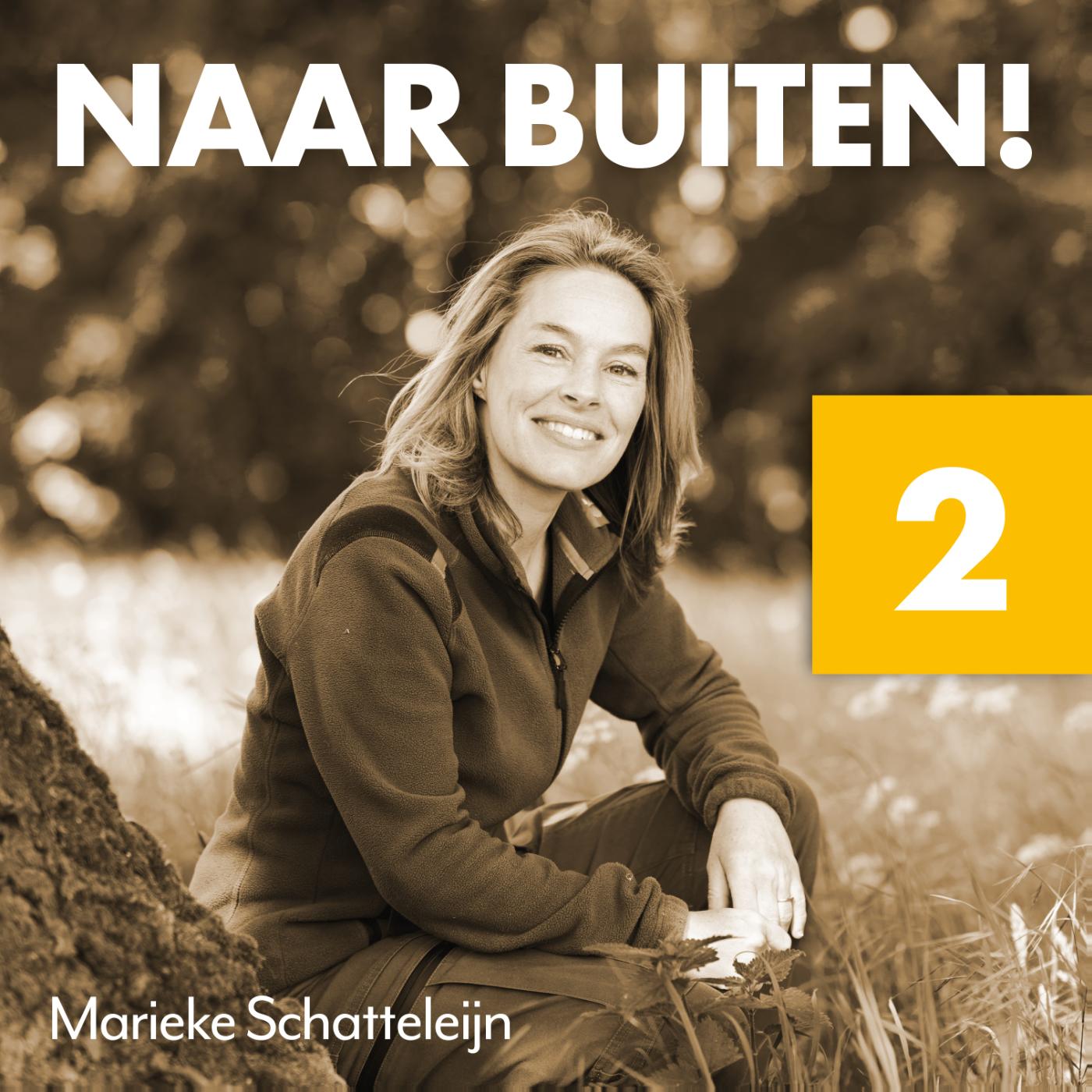 Omslag van 2