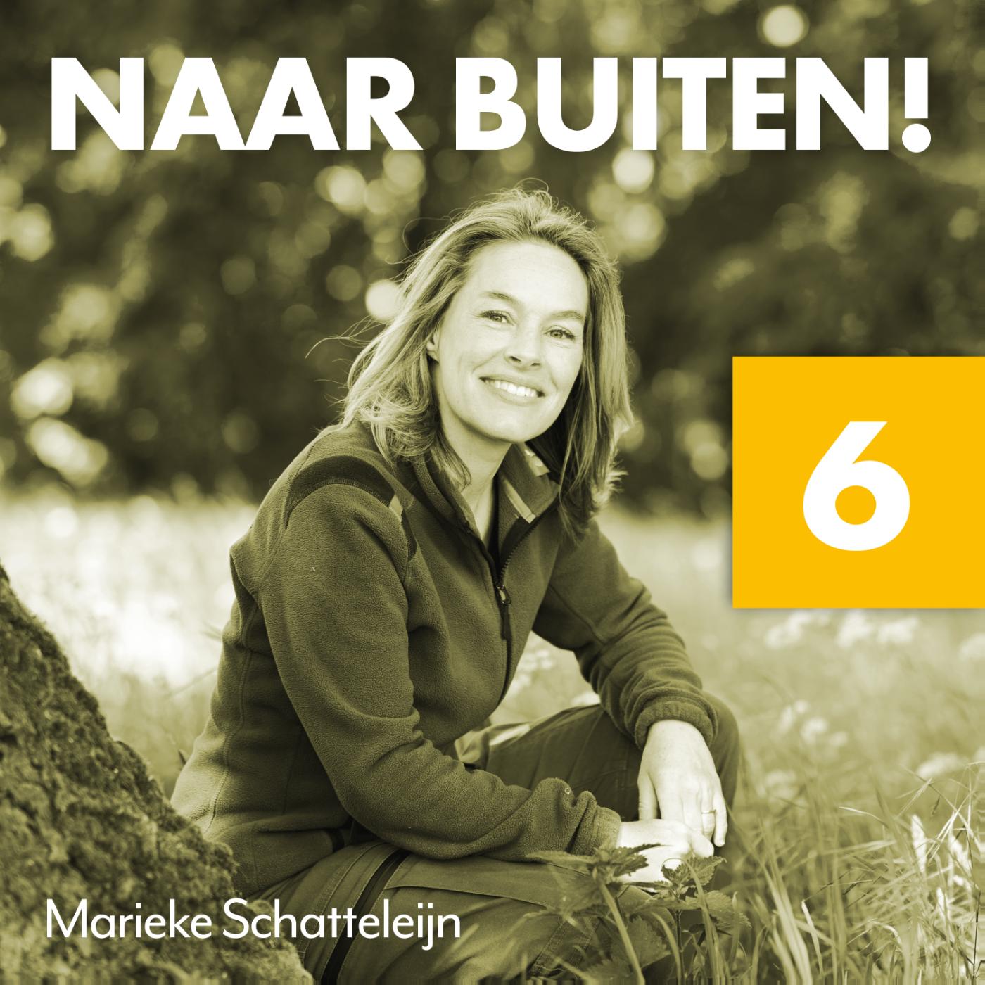 Omslag van 6