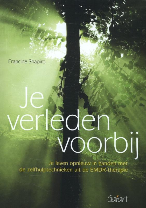 Omslag van Je verleden voorbij