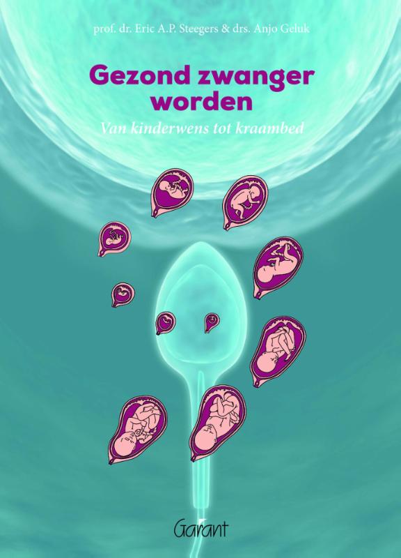Omslag van Gezond zwanger worden