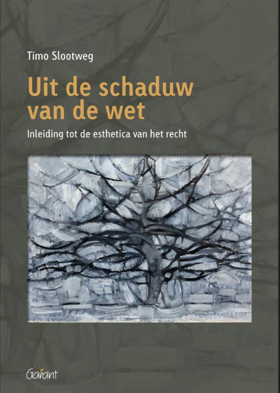 Omslag van Uit de schaduw van de wet