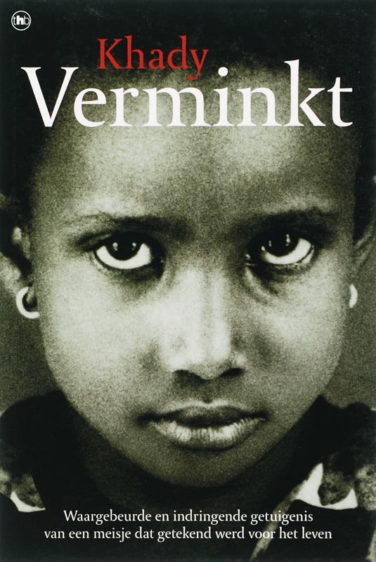Omslag van Verminkt