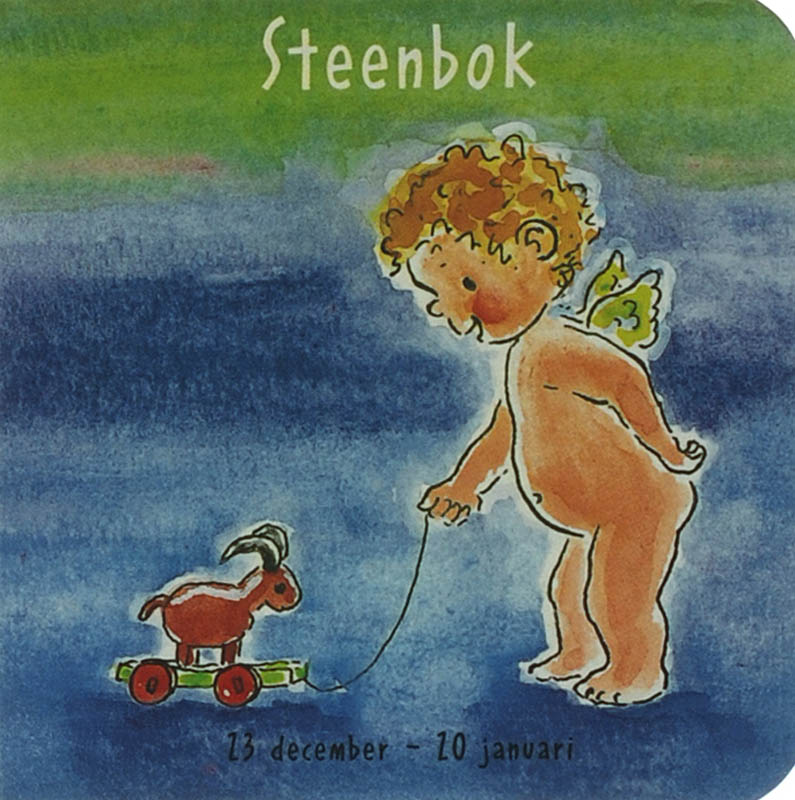 Omslag van Steenbok