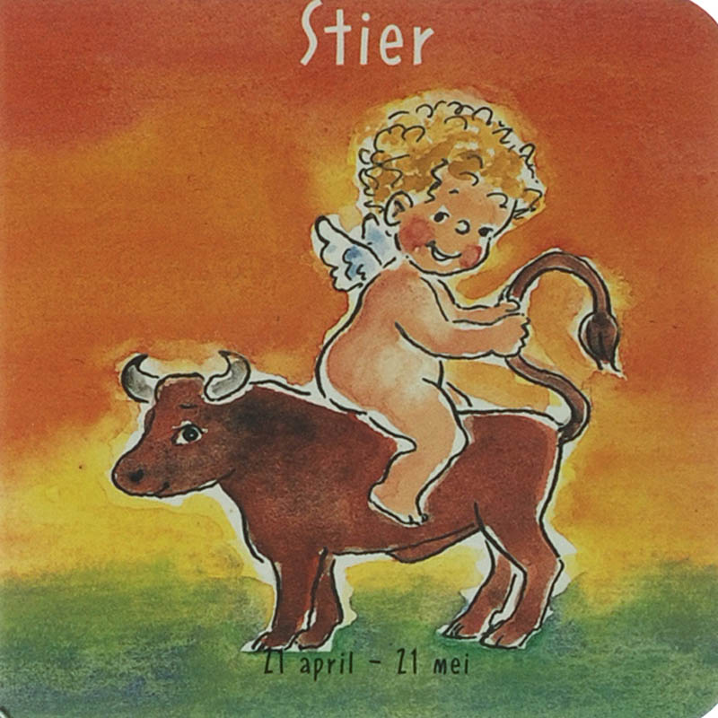 Omslag van Stier