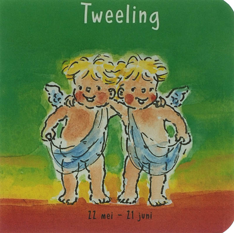 Omslag van Tweeling