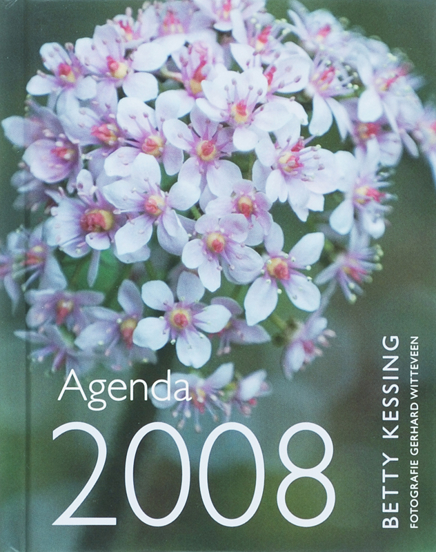 Omslag van 2008