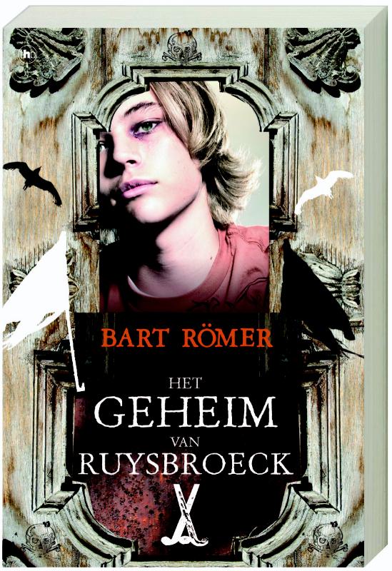 Omslag van Het geheim van Ruysbroeck